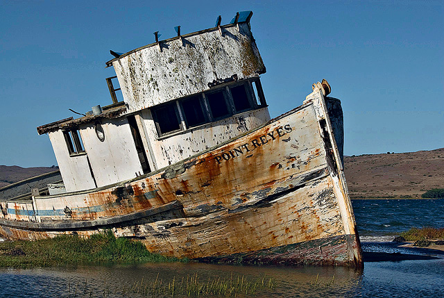 point-reyes_lh-jpg