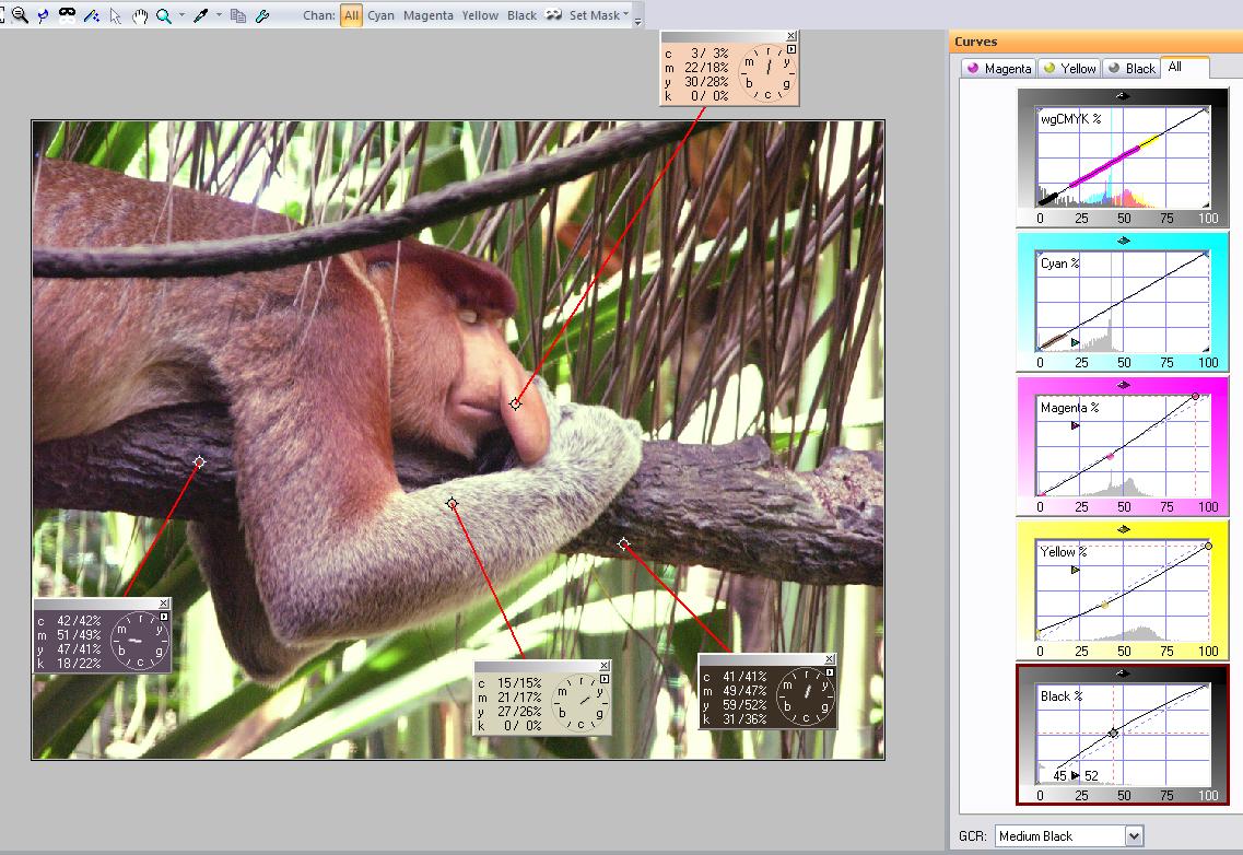 screenshot-week-3-ex-3-monkey-cmyk-jpg