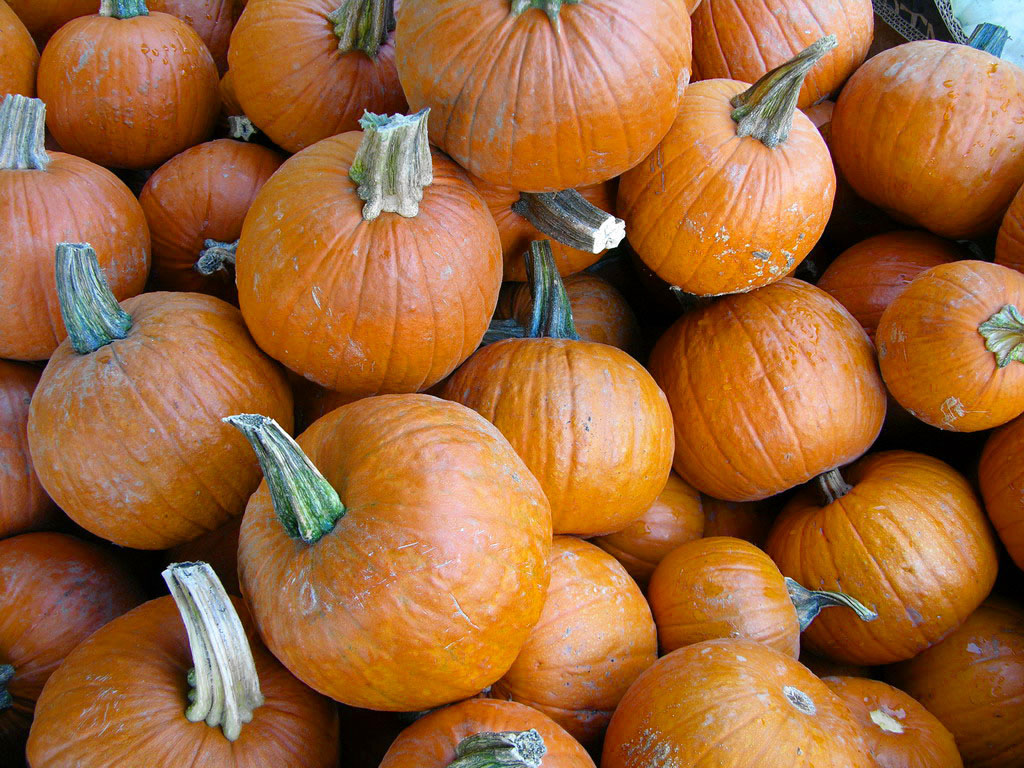 c1s2-example3-pumpkins-jpg