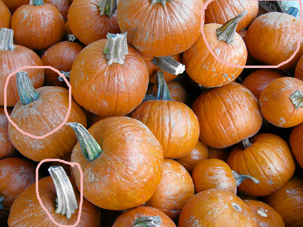 c1s2-example3-pumpkins-hsb_gg-jpg