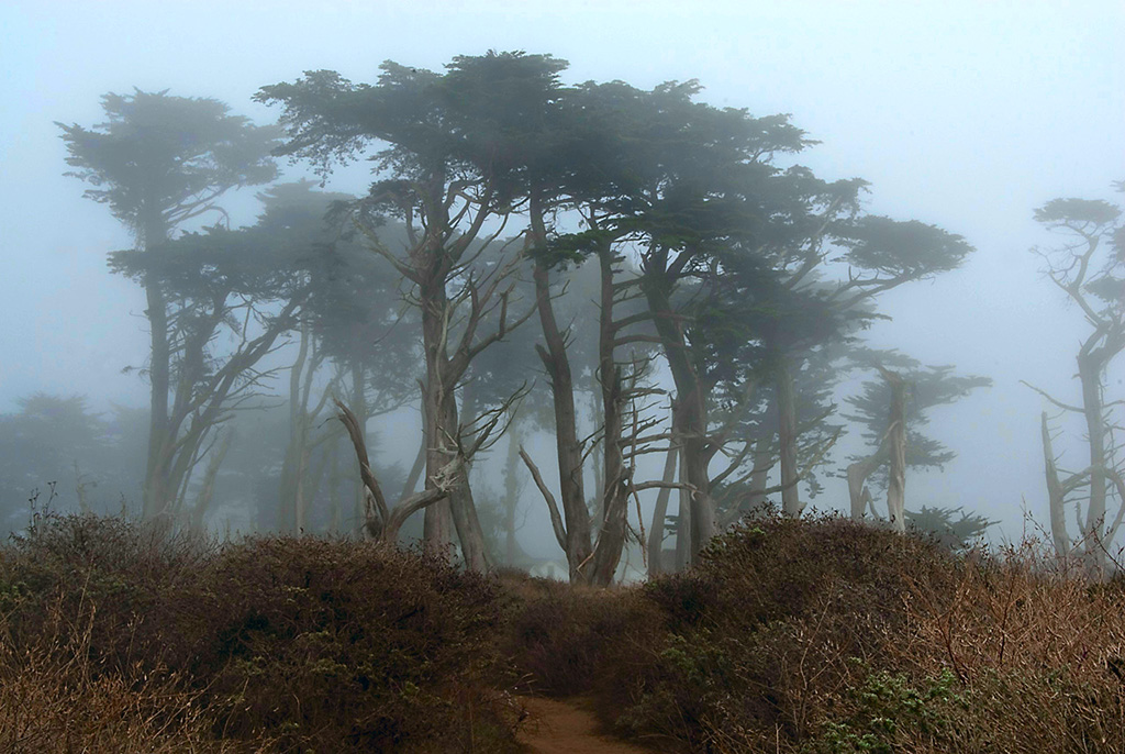 point-reyes1-copy-jpg