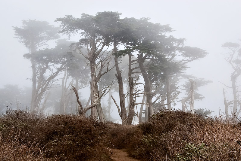 point-reyes-jpg-2