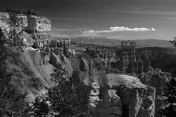 bryce-forweb-bw2-copy-jpg