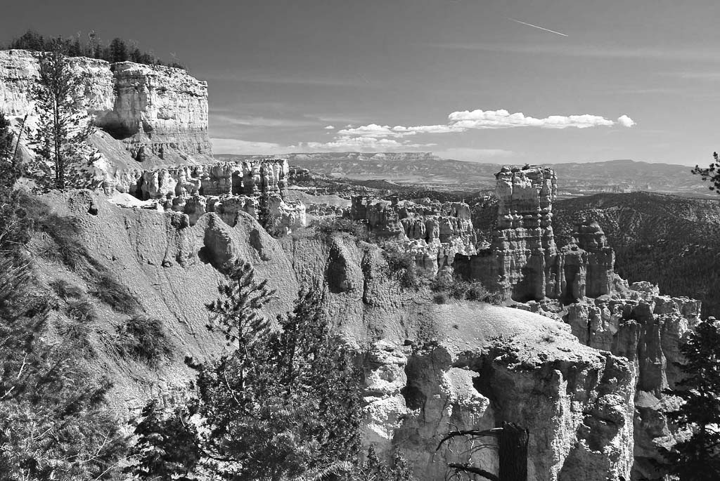 bryce-for-bw-1-jpg