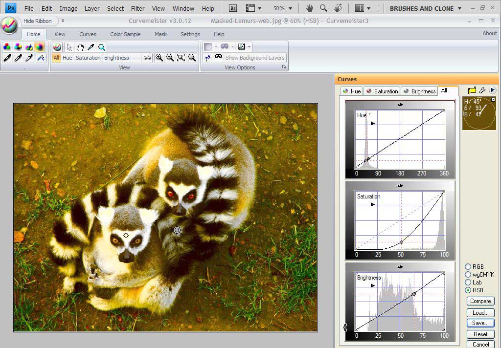 capture_2nd-pass-lemurs-web-jpg
