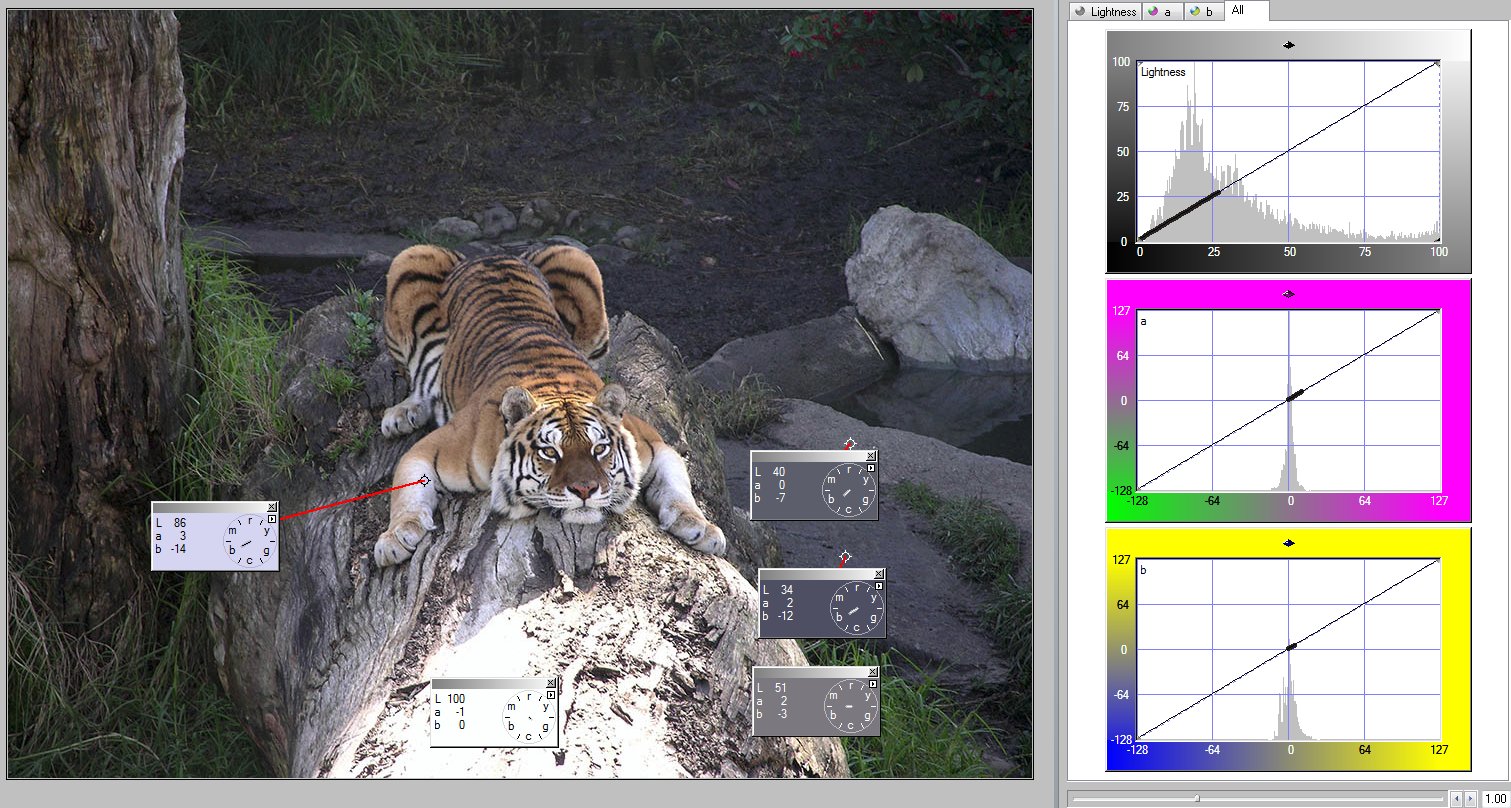 tigertest2-jpg