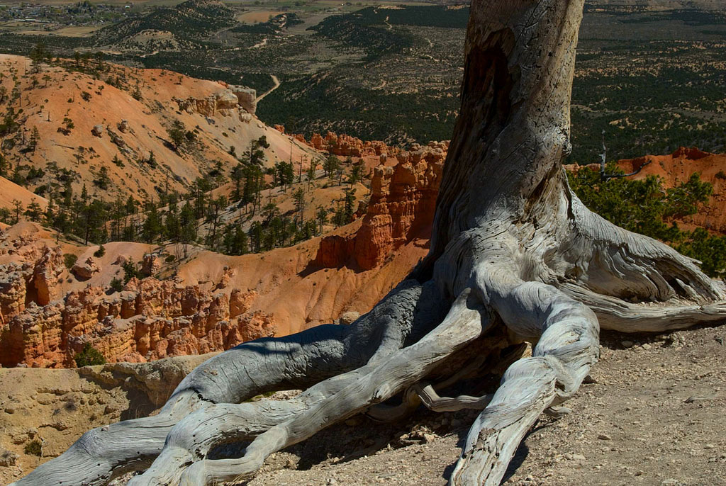 bryce-canyon-copy-jpg