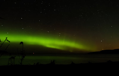 Greg Night Sky.jpg