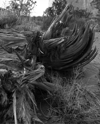 Monument Valley02_sm.jpg